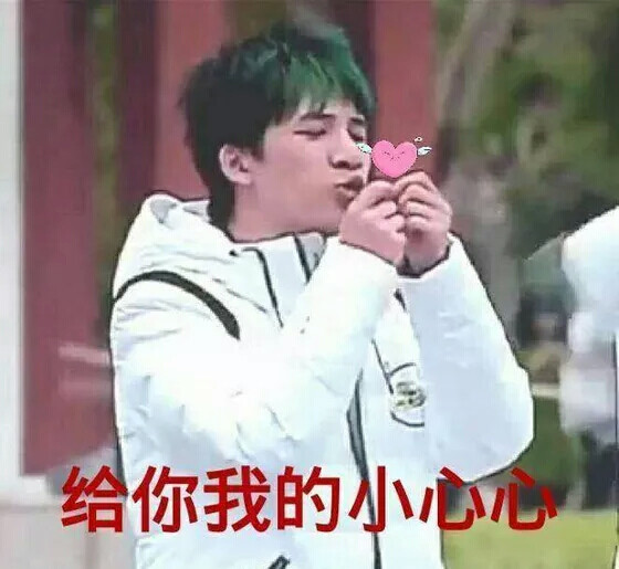 大张伟表情包