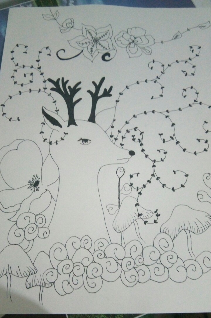 黑白画