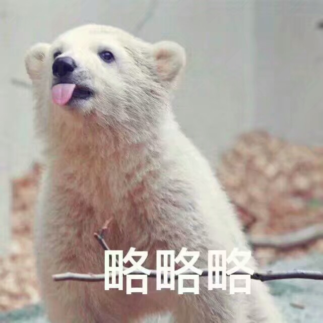 北极熊蜜蜂蜂蜡是怎样采集表情的图片
