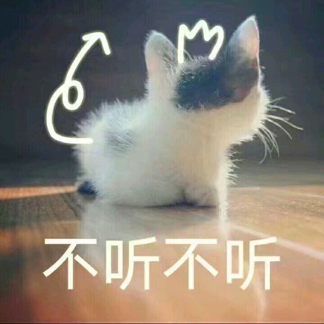 猫咪表情包