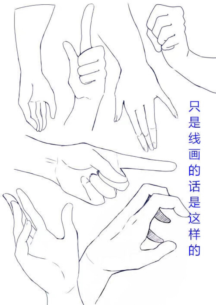 手 教程 绘画 画法 各个形态 参考 素材