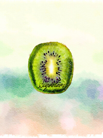 sigveters 手绘水彩水粉插画 2017水果集 猕猴桃竖切