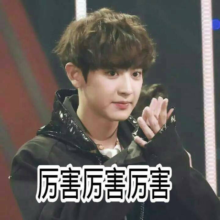 exo 朴灿烈 表情包