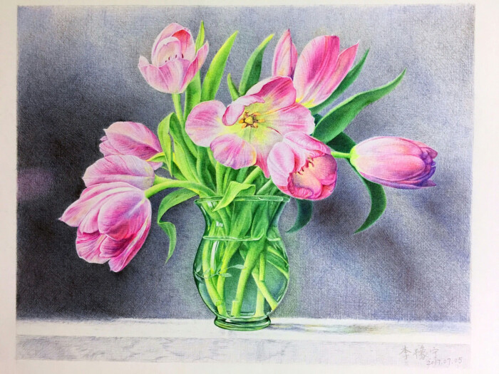 彩铅画:花卉