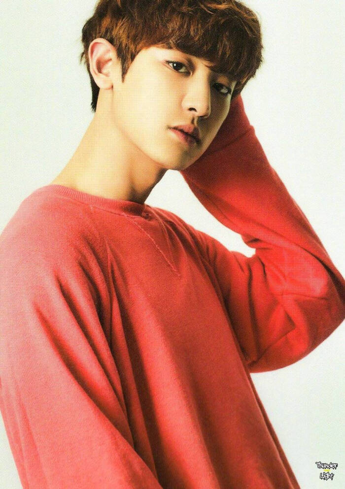exo 朴灿烈 壁纸