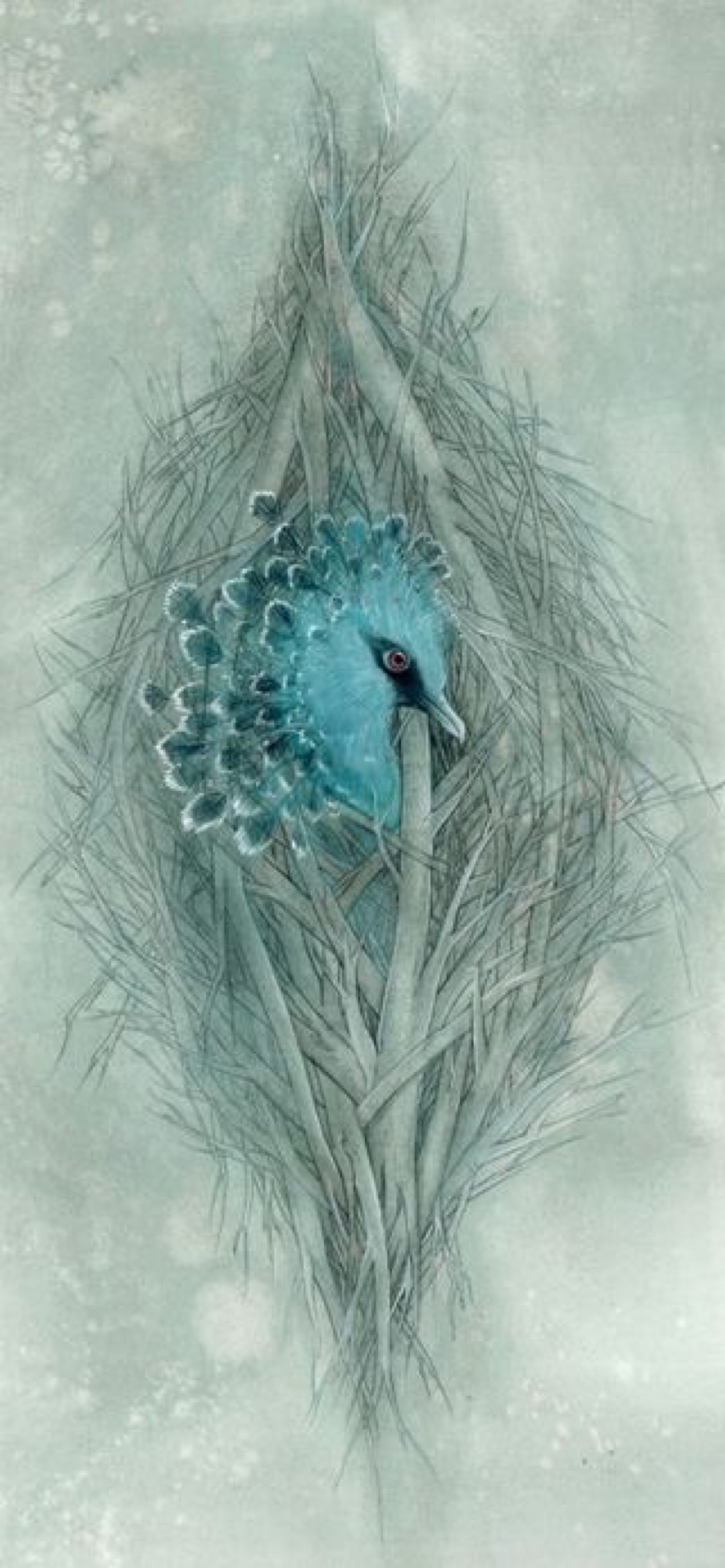 孔雀·棂