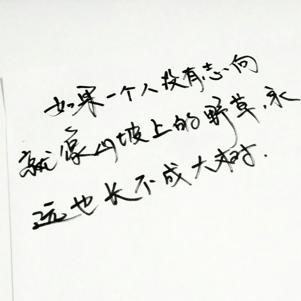 文字为摘抄 手写文字 治愈 爱情 青春 励志 手写 文字 文艺 古风 歌词