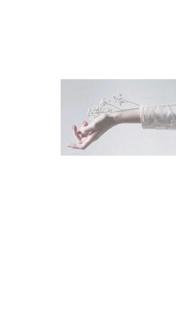 壁纸 白色 背景图