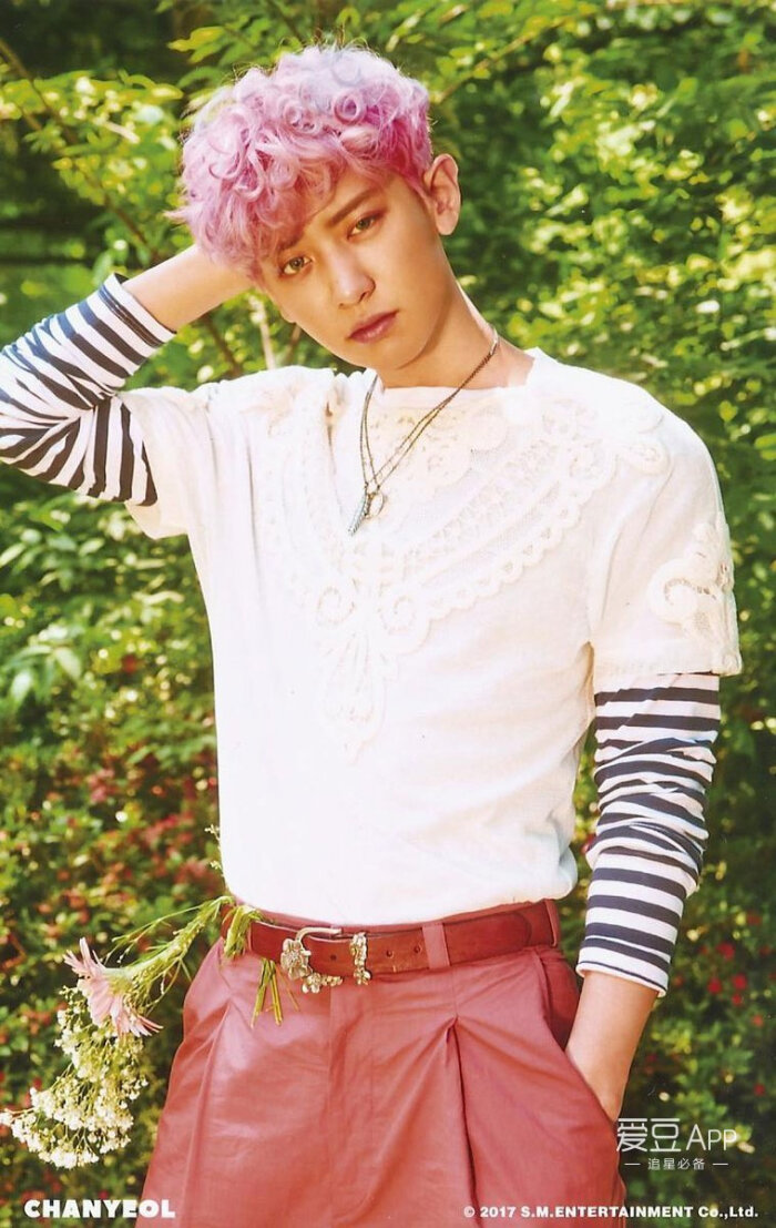 exo 朴灿烈 壁纸 画报 四辑回归《kokobop》《前夜》