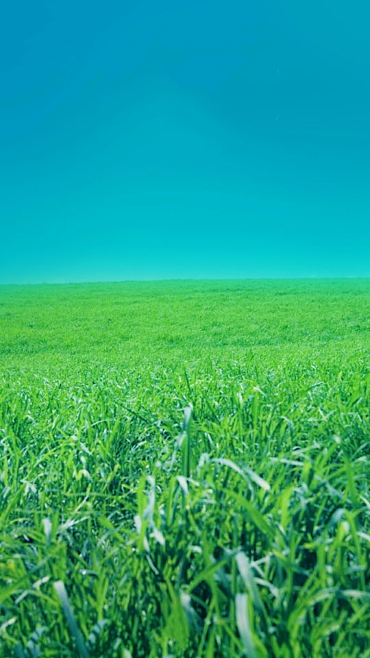 草原竖屏风景手机壁纸图片