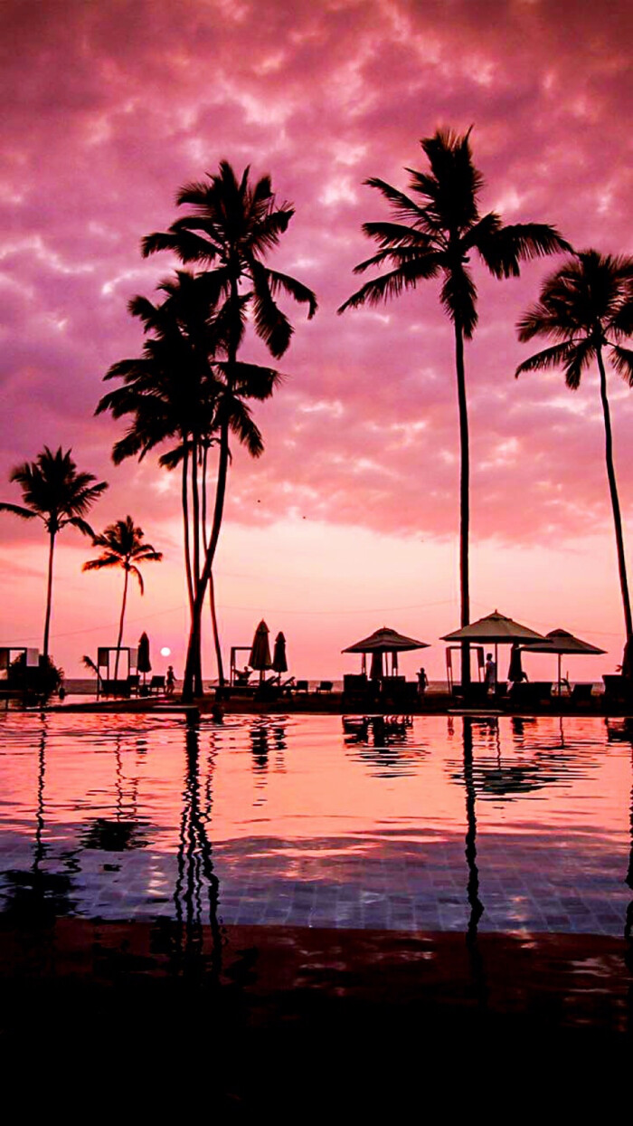 海景-堆糖,美好生活研究所