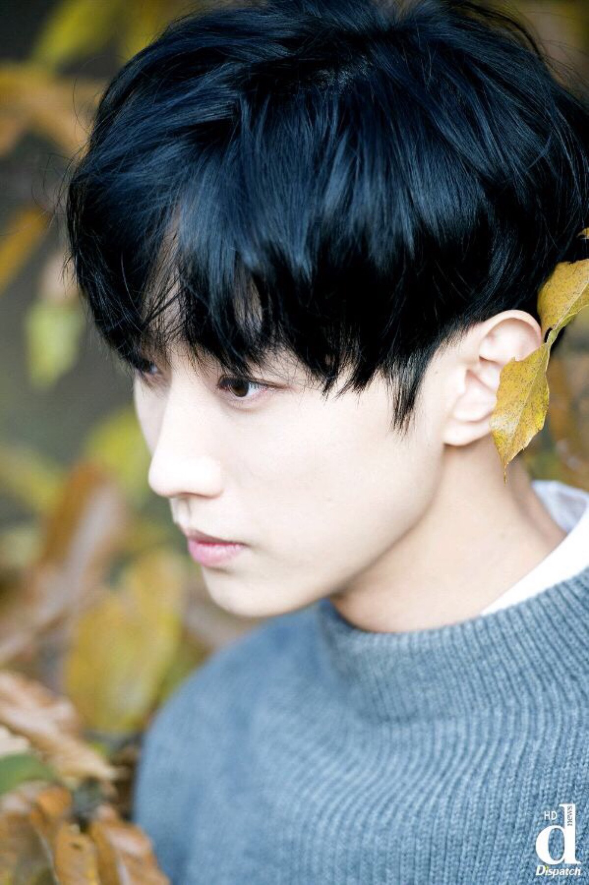 美颜盛世郑真英