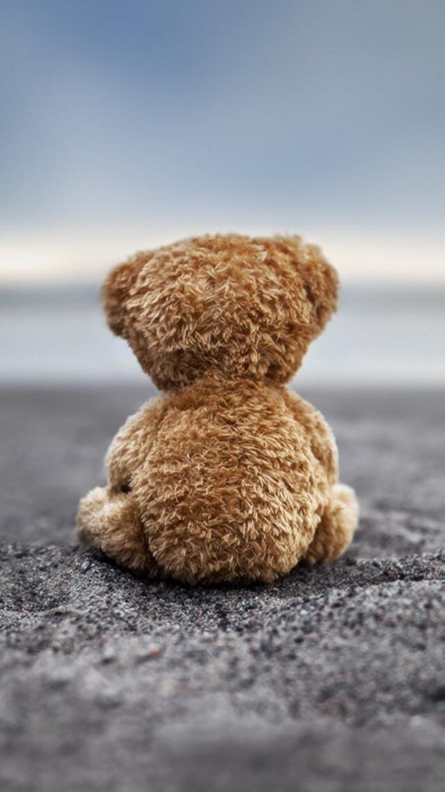 孤单的小熊背影图片图片