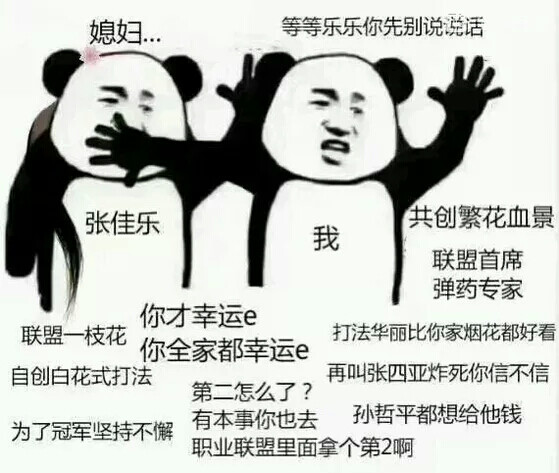 乐乐你别说话让媳妇我来 #全职高手#张佳乐#表情包#张佳乐媳妇专用