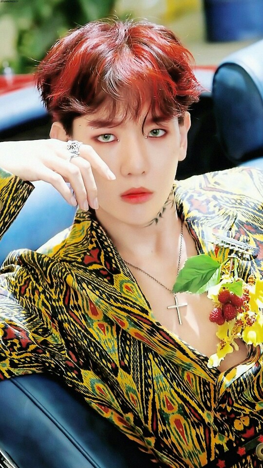 边伯贤 kokobop