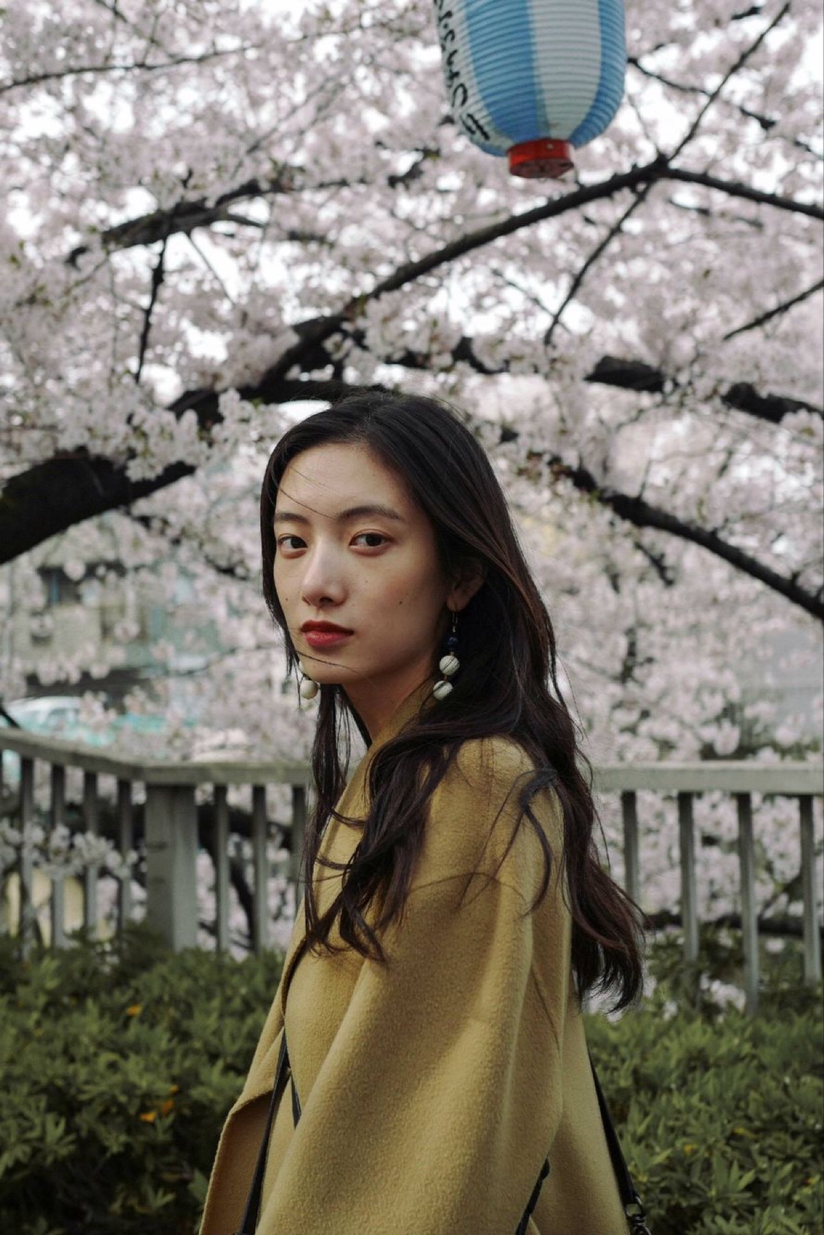 cici项偞婧 1994/10/31 178cm ins:cici_xiang