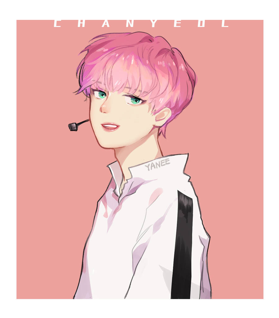 朴灿烈 泡菜鱼 西歪