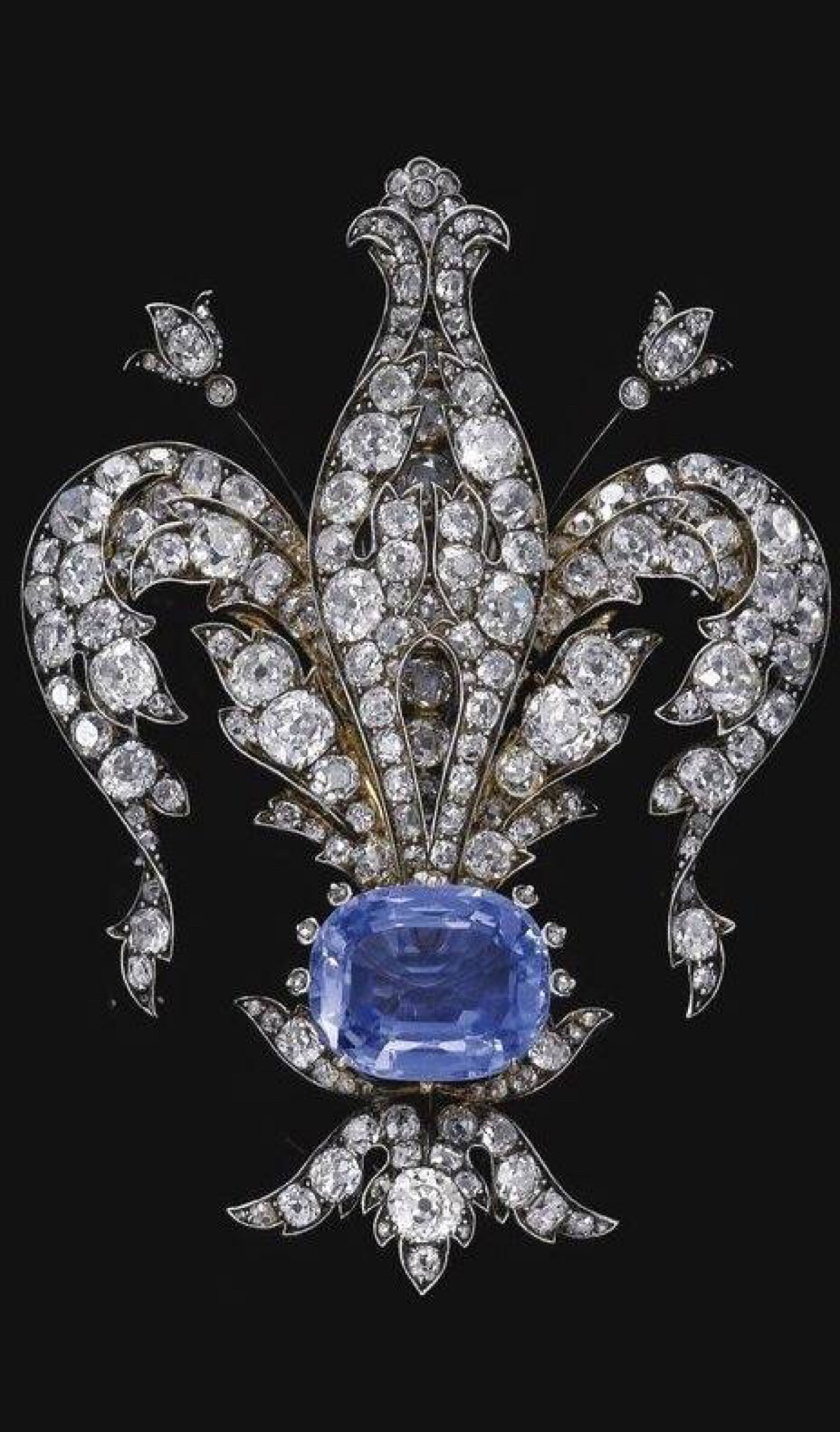 of france"的意思,是法国的国花(具体地说,是"香根鸢尾"),也指鸢尾花