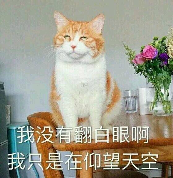 表情包 【我没用翻白眼啊 我只是在仰望天空】