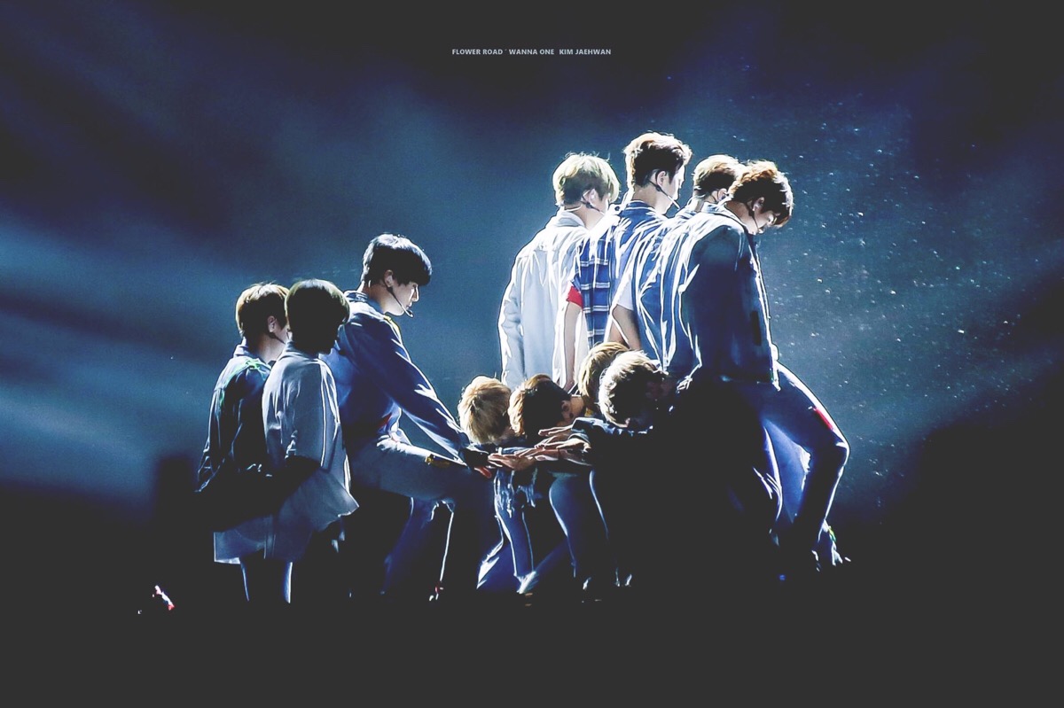 wannaone壁纸全员,wannaone壁纸 wannaone