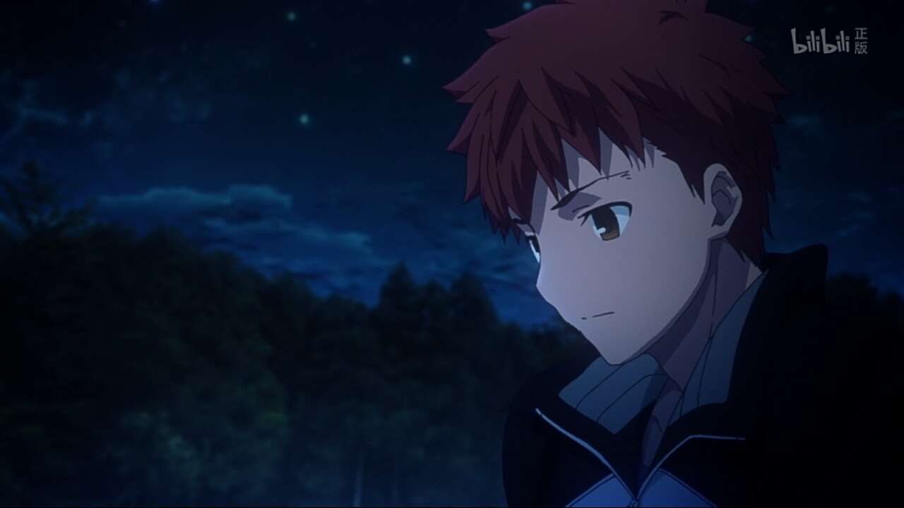 fate stay night 卫宫士郎