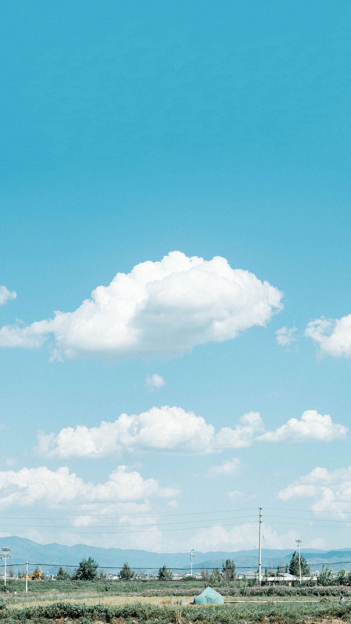 【虎斑收录】高清图 手机壁纸 萌萌哒 清新 壁纸 摄影 人生好像简单到