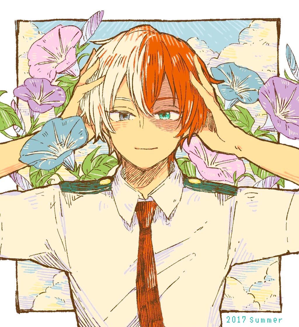 我的英雄学院 轰焦冻 轰总