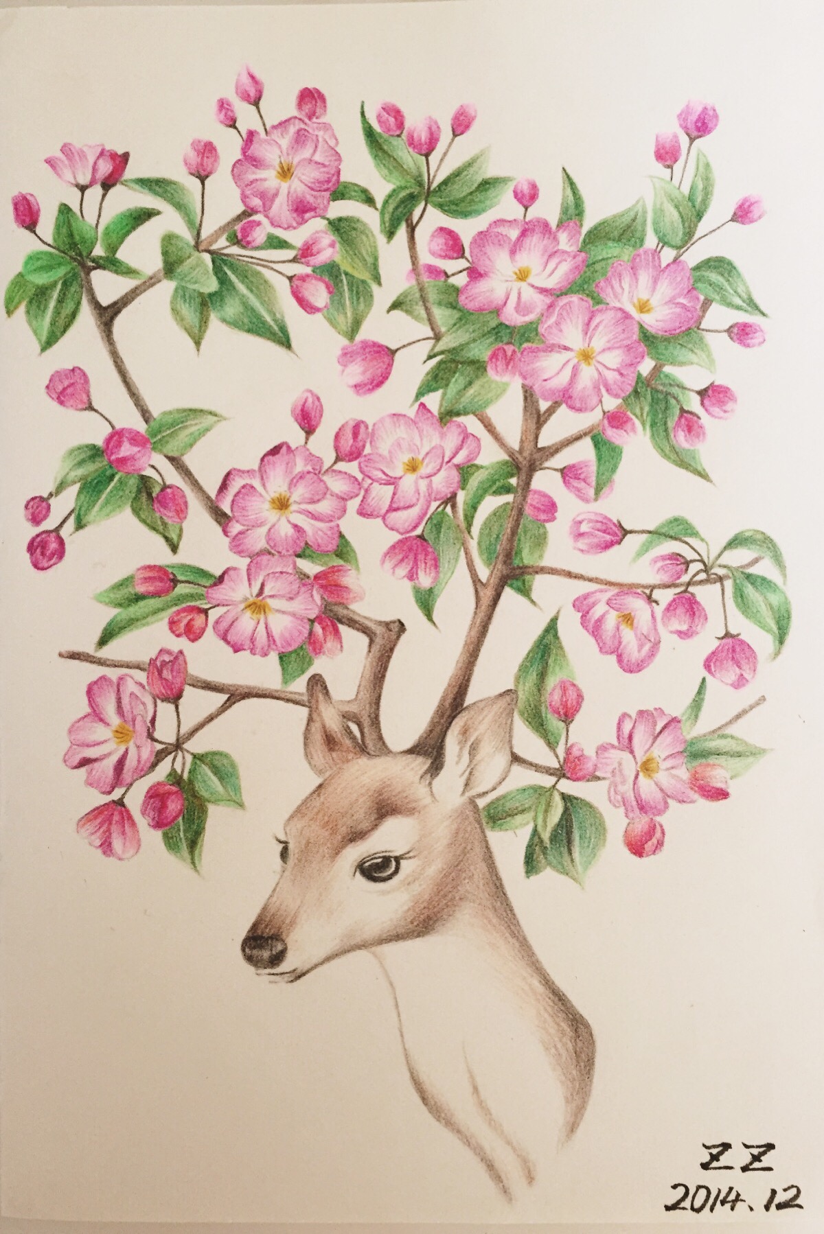 彩铅手绘 61 春之鹿