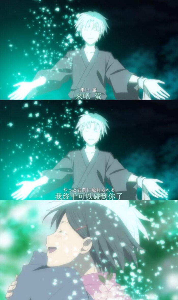 萤火之森/治愈动漫电影/萤与银/自截自拼 高清 手机背景/终于可以碰到