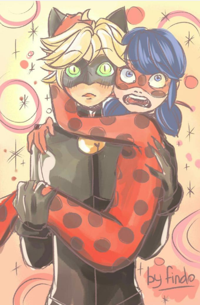miraculous,ladybug,cat noir,瓢虫少女,瓢虫雷迪 ——know your meme