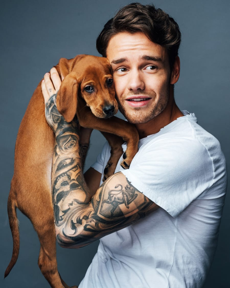 liam payne 莉莉