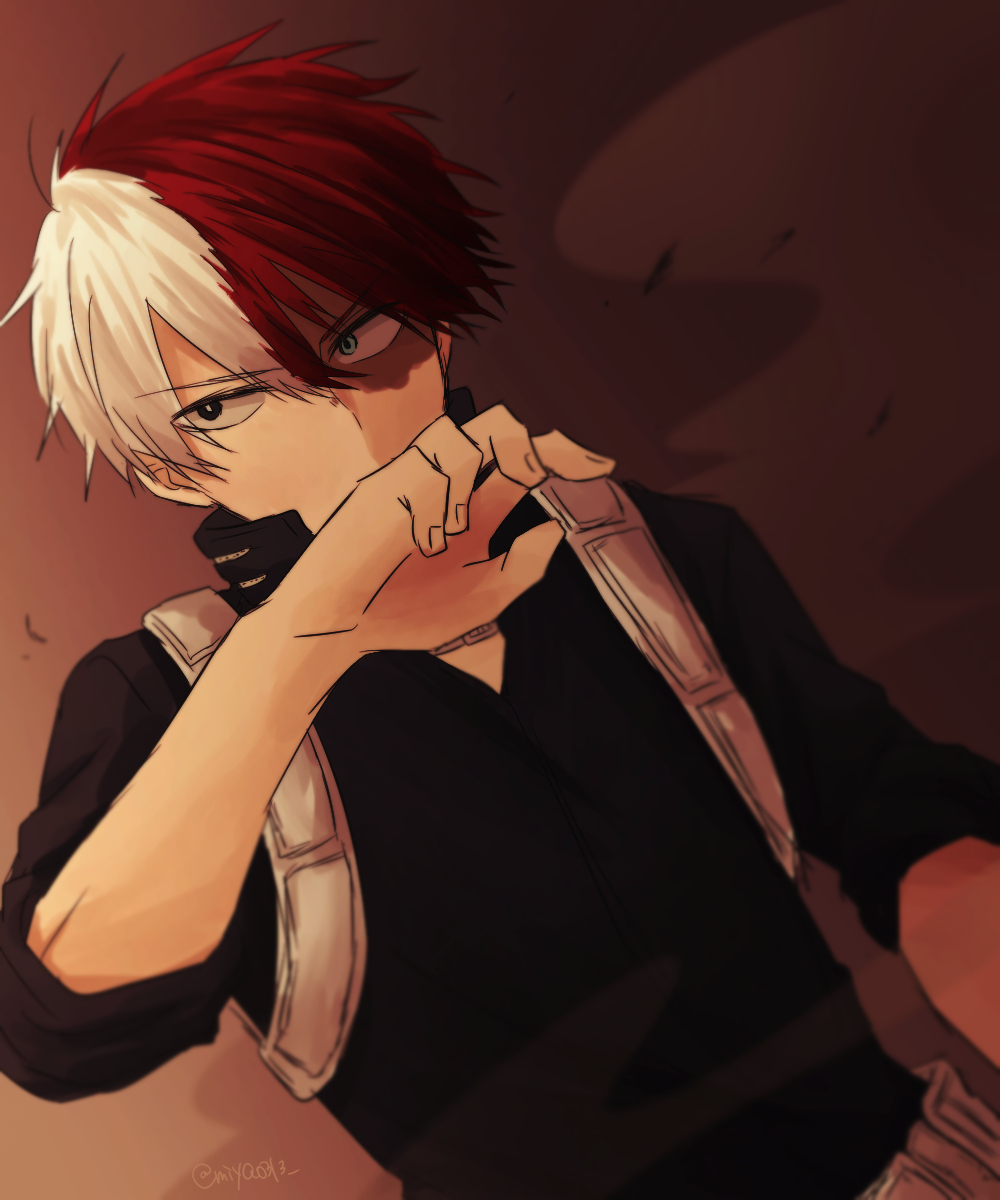 我的英雄学院 轰焦冻 轰总