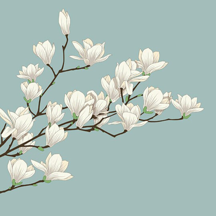 花草插画