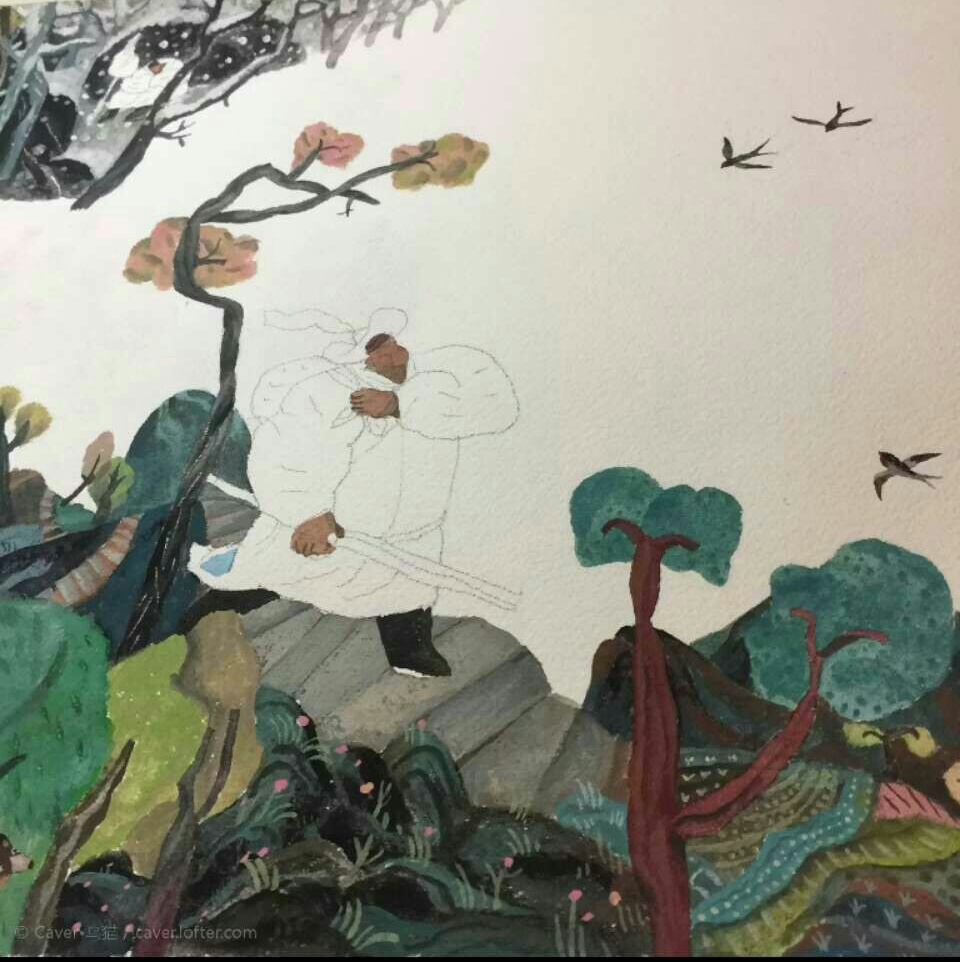 乌猫
