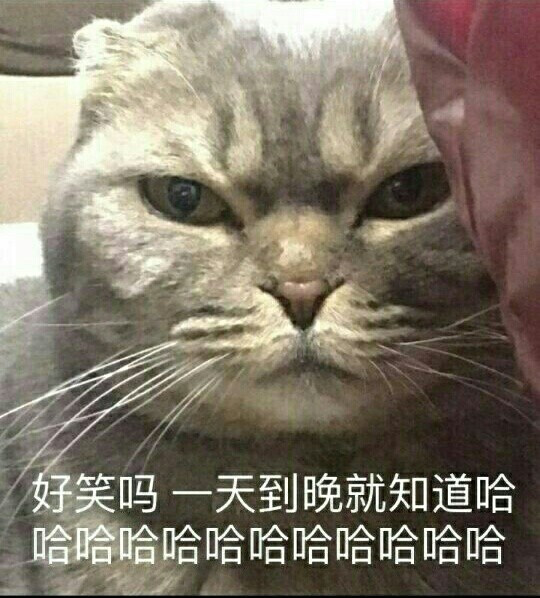 【漫画】【暴走漫画】【可爱贱萌污】【二…《v漫画暂停表情》图片