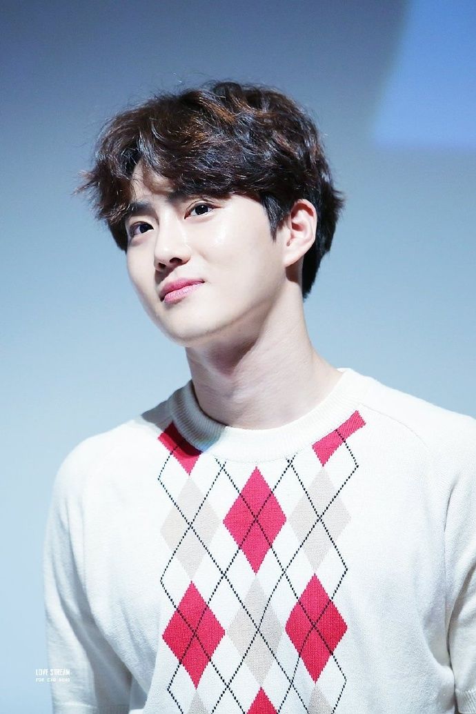 exo 金俊勉(suho)
