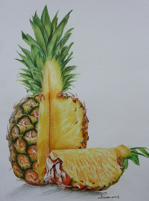 彩铅手绘―菠萝