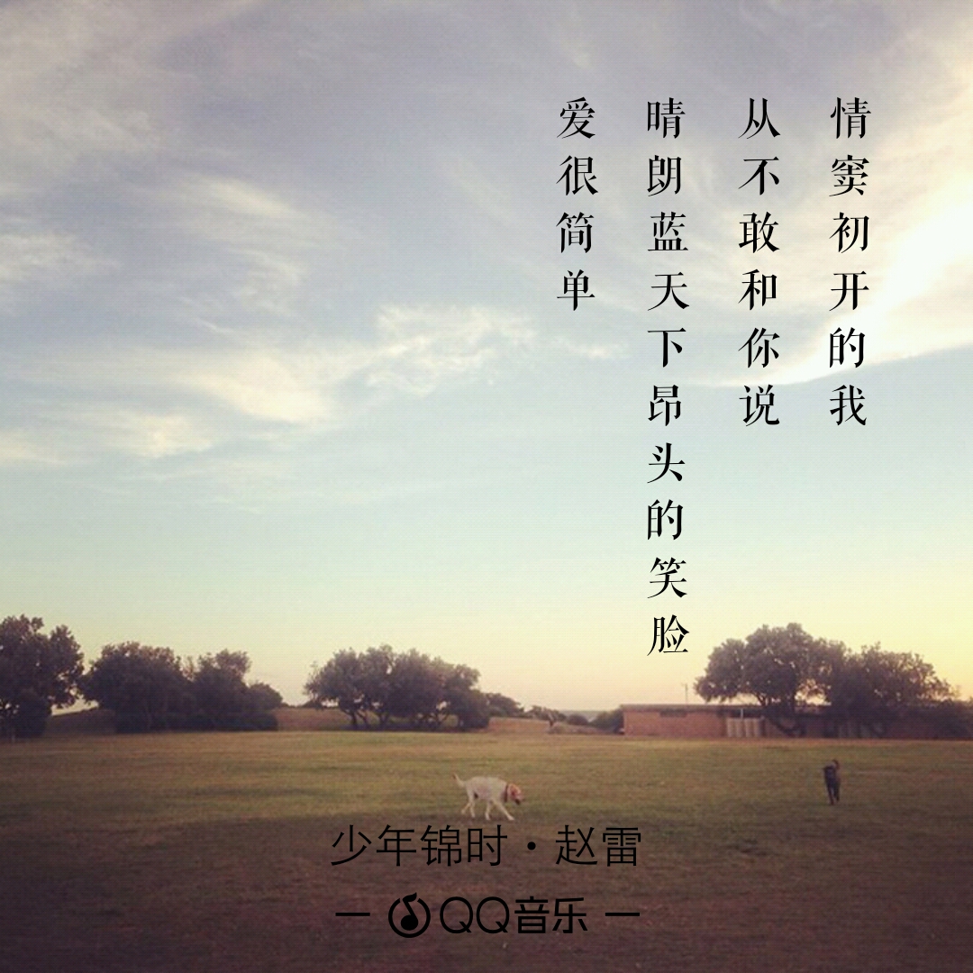 赵雷/ 少年锦时
