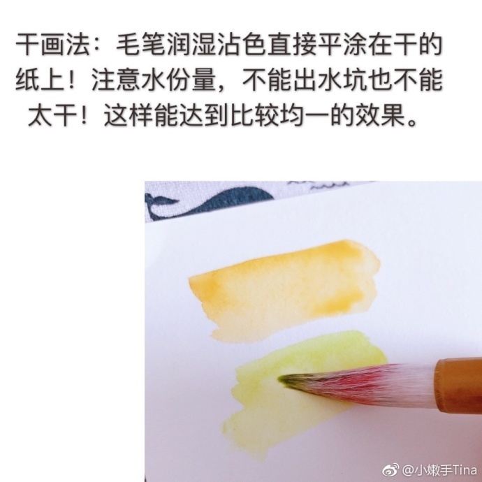 水彩基本技法第一讲,干画法小技巧!