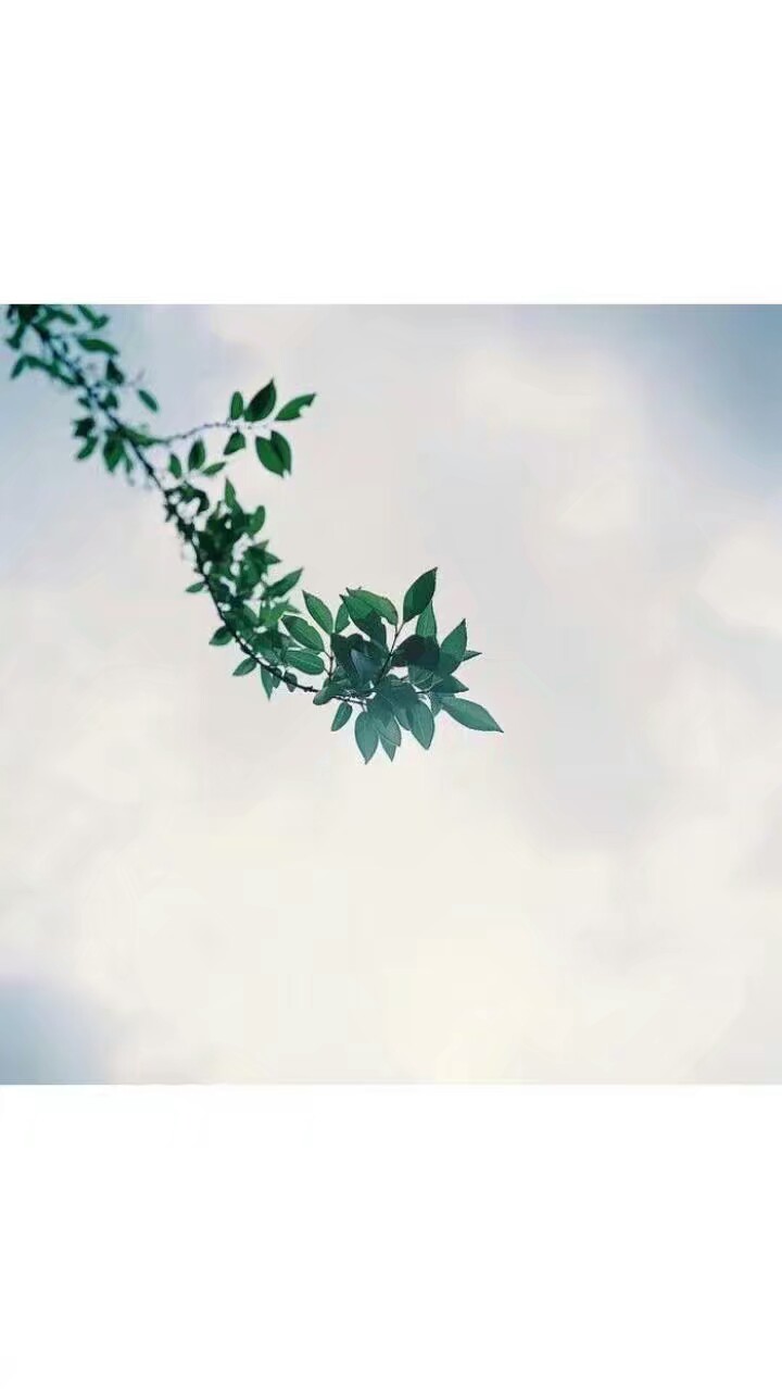 背景图 名片背景 qq名片背景 qq背景 微博背景 背景.