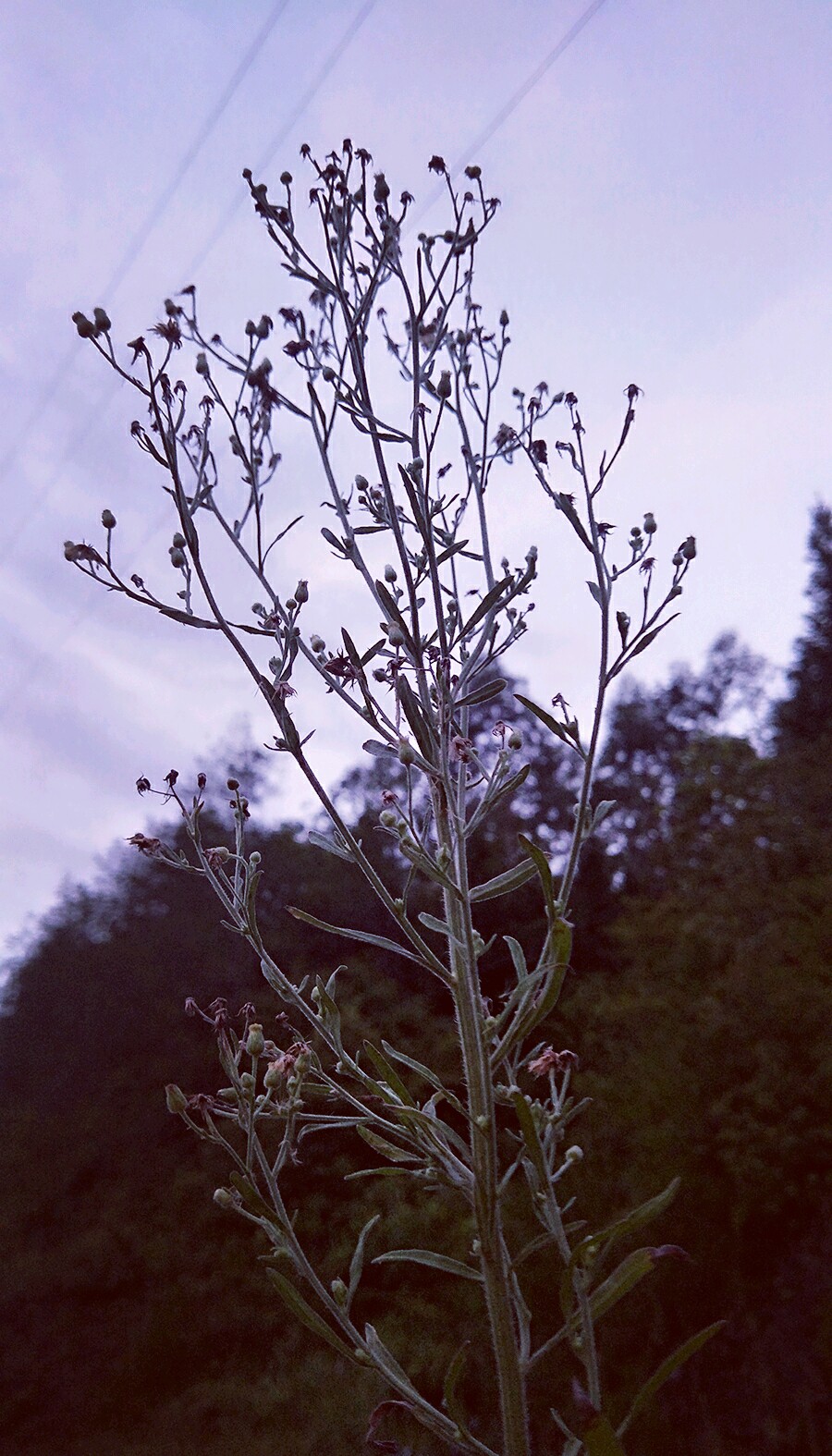 人生,往往是无奈的