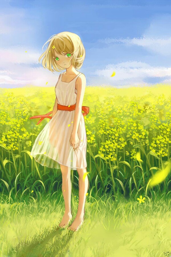 油菜花