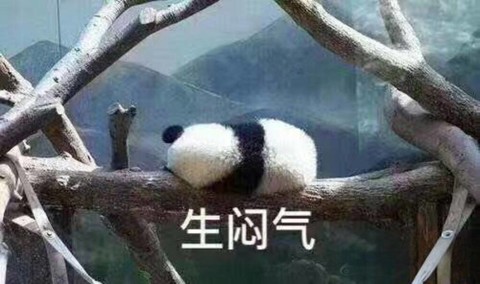 萌萌的熊猫表情包 生闷气