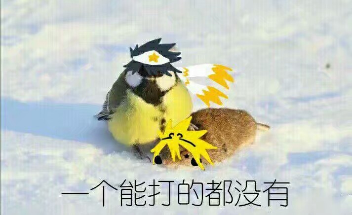 雷狮 嘉德罗斯