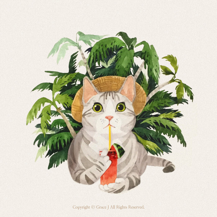 猫咪 水彩 gracej插画