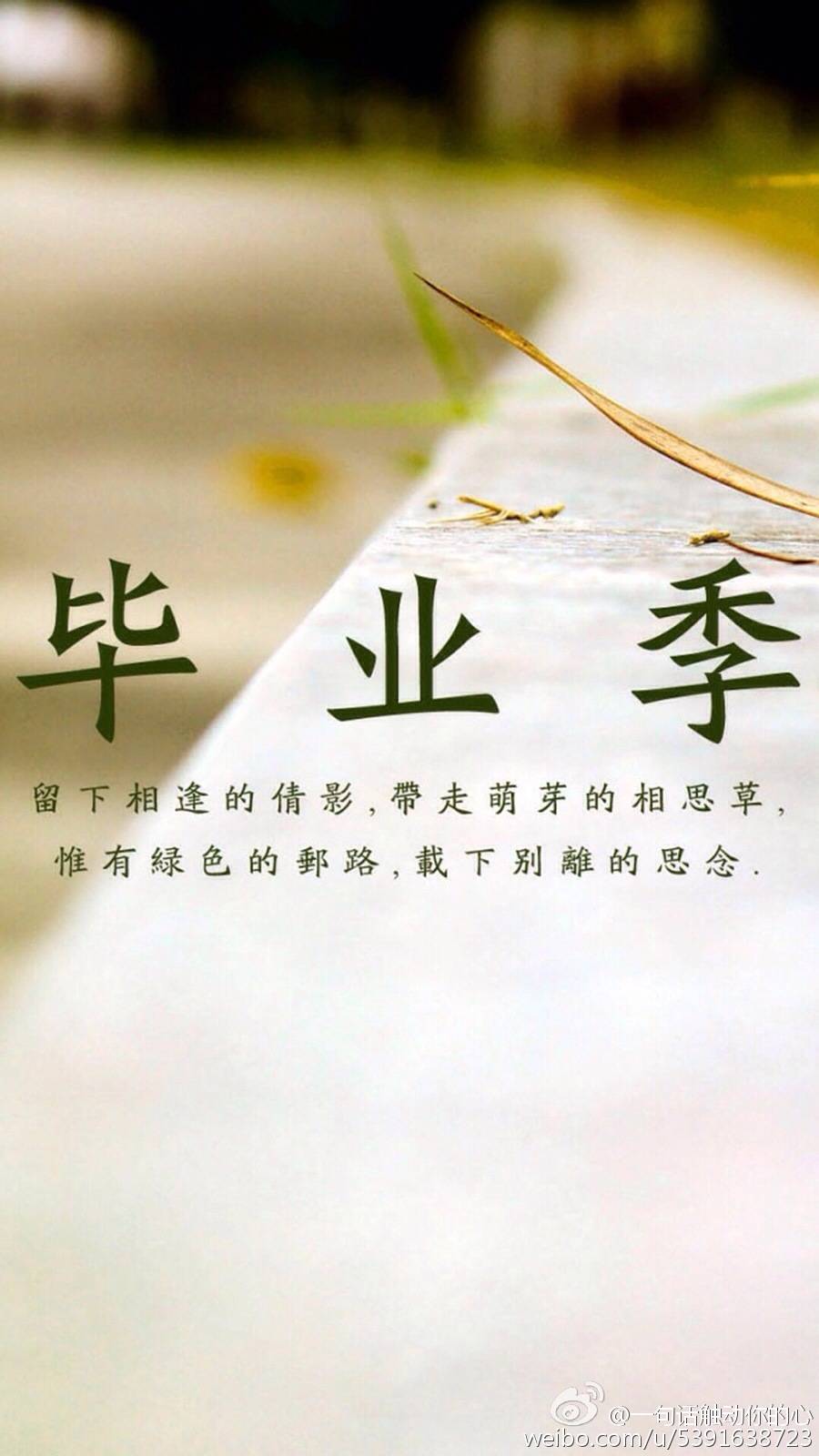 毕业季 唯美 文字图