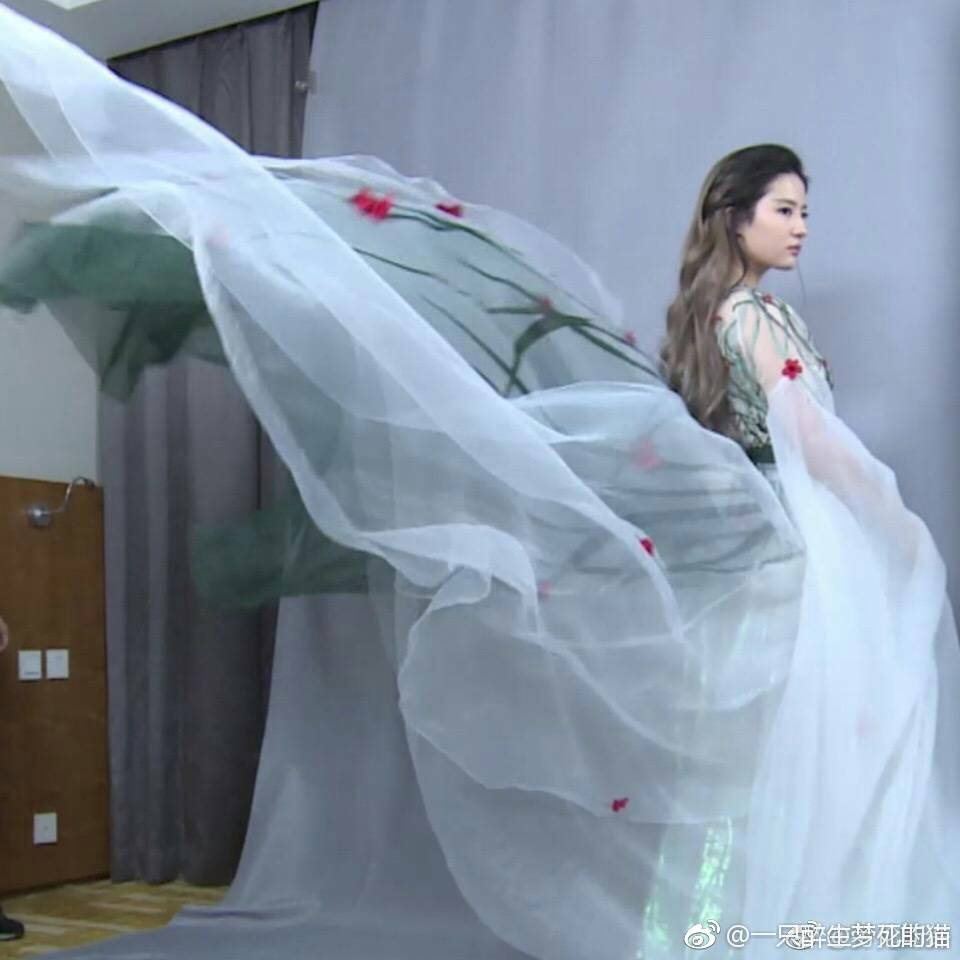 刘亦菲三生三世十里桃花喜欢的话可以点关注以获得更多