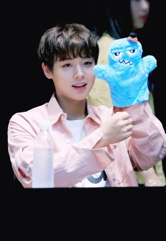 wannaone 朴志训