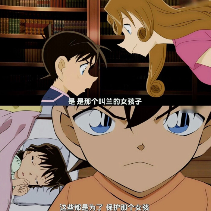 新兰