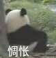 萌萌哒熊猫阀门a阀门虎扑图搞笑鸡看表情图片